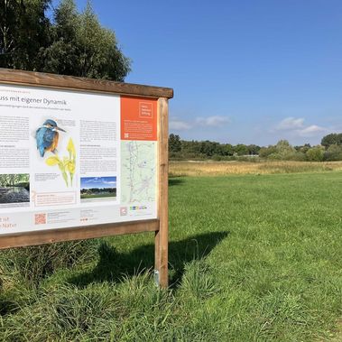 Eine Infotafel mit Text und Illustrationen steht auf einer Grünfläche